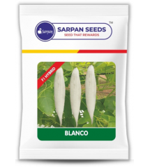 Snakegourd Sarpan Blanco 100 grams